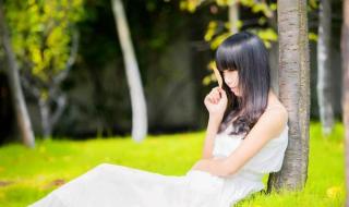 姗姗来迟是什么生肖