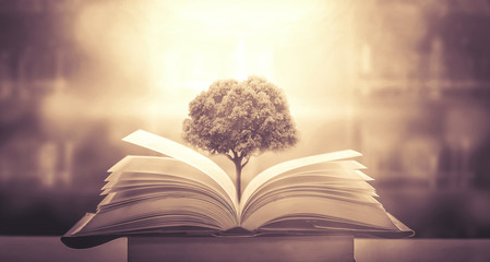 32届奥运会金牌榜排名表 奥运金牌榜最新排名